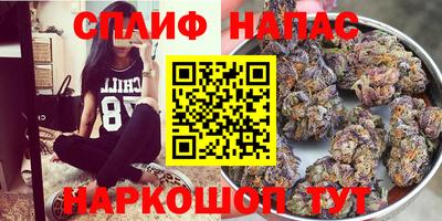трава Кинель