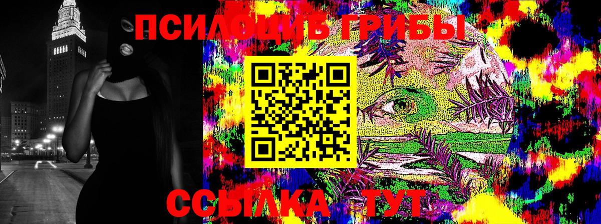 Псилоцибиновые грибы Magic Shrooms  Галлюциногенные грибы GOLDEN TEACHER  Вход с VPN  Дюртюли 